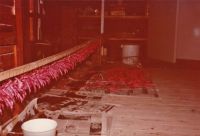 1979 Haone onderscheiding maken 01 1979 Haone onderscheiding maken 01